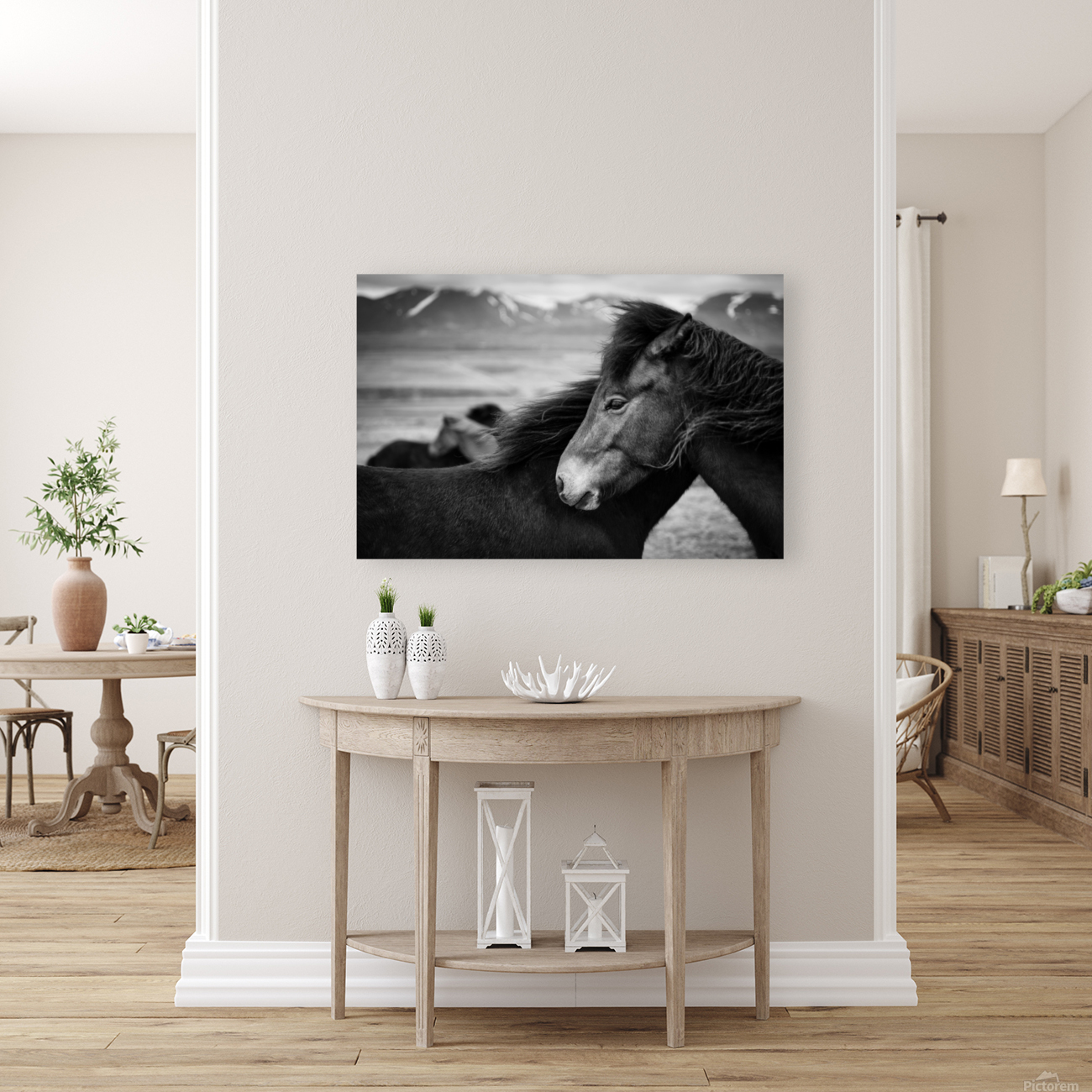 Icelandic Horses Reproduction