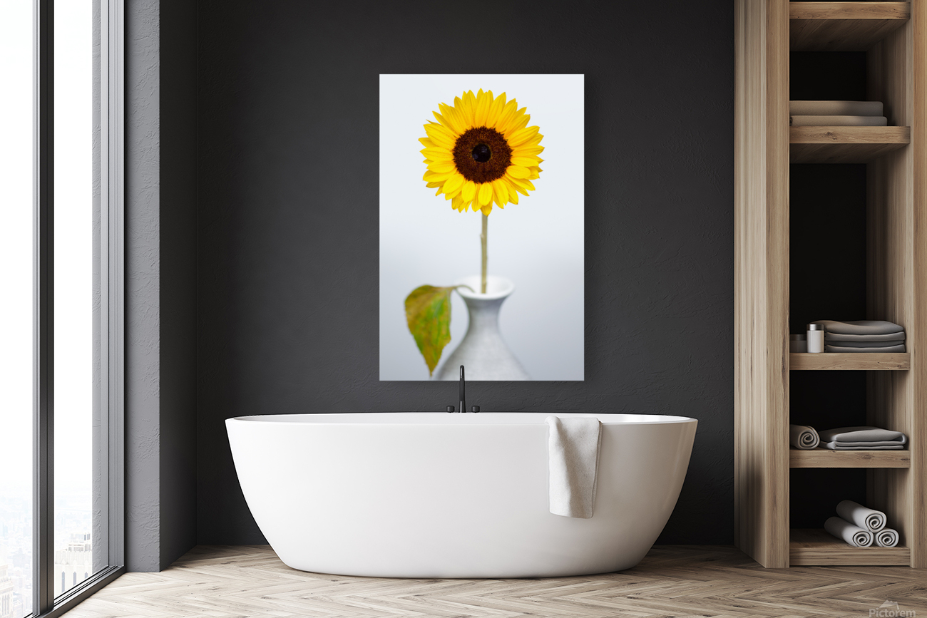 Sunflower Reproduction