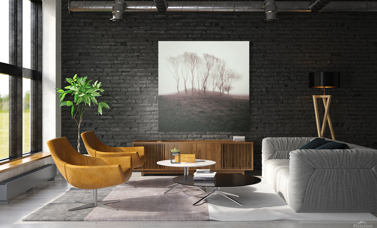 Misty Trees Reproduction