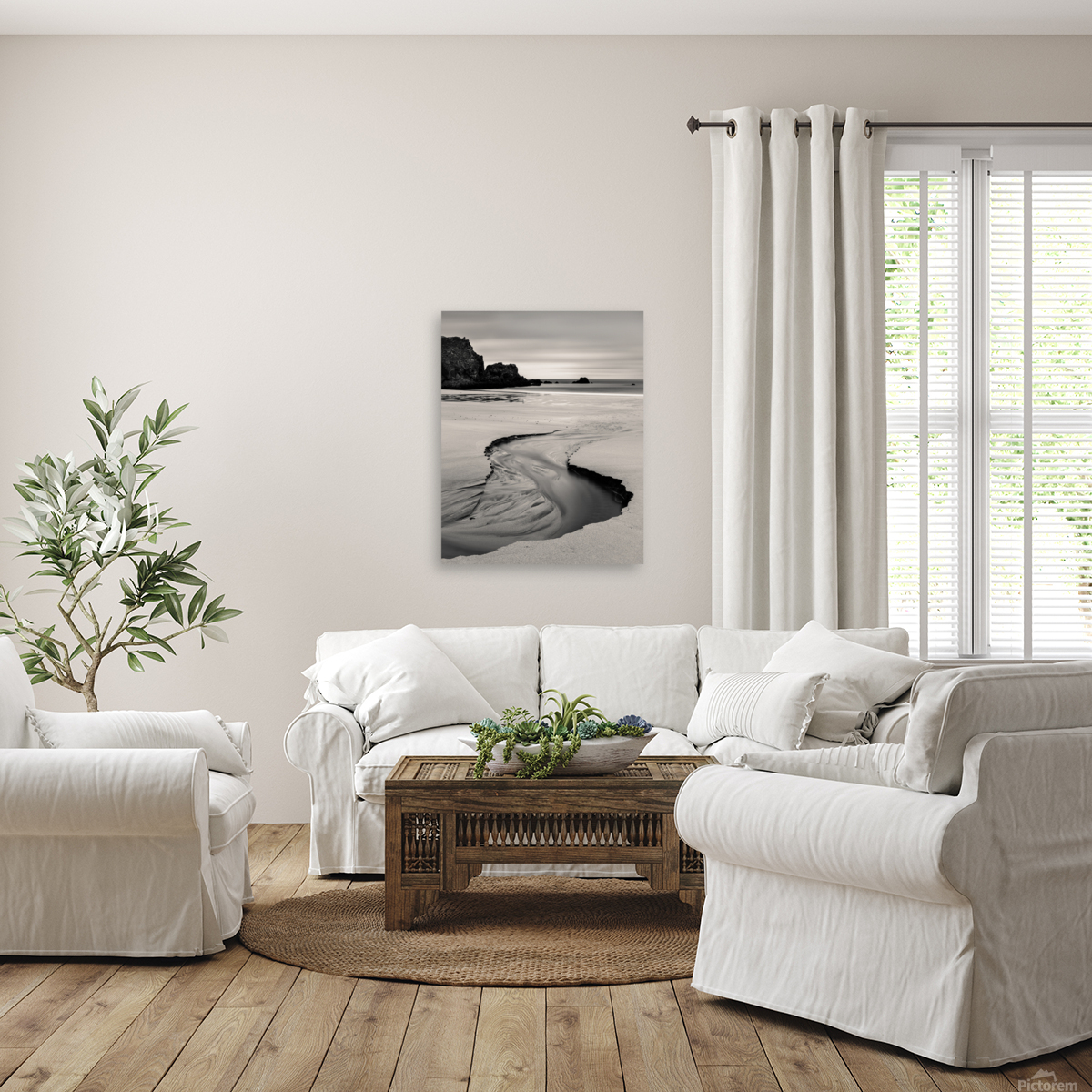 Beach Rivulet Reproduction