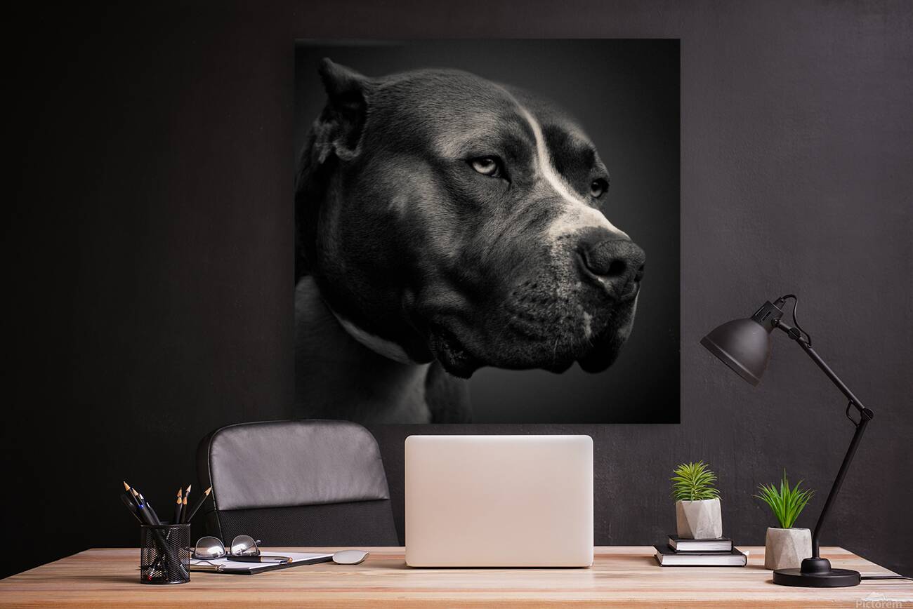 Big Fella Reproduction