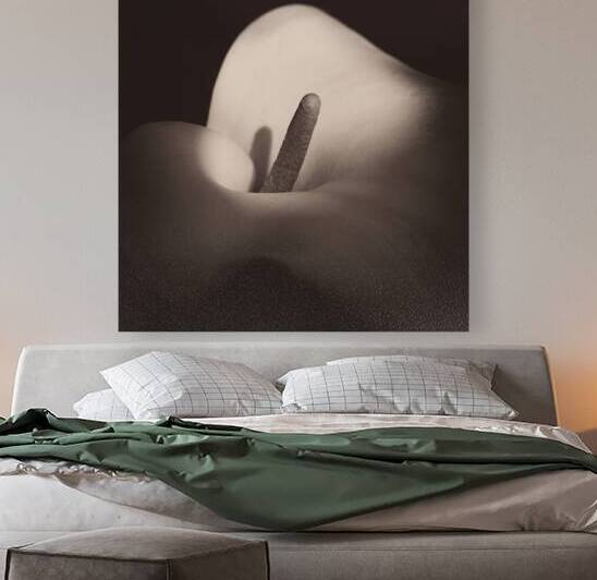 Calla Lily by Dave Bowman