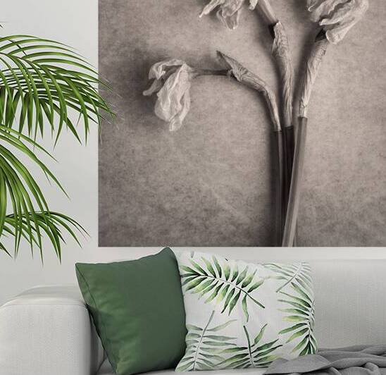 Fading Beauty by Dave Bowman