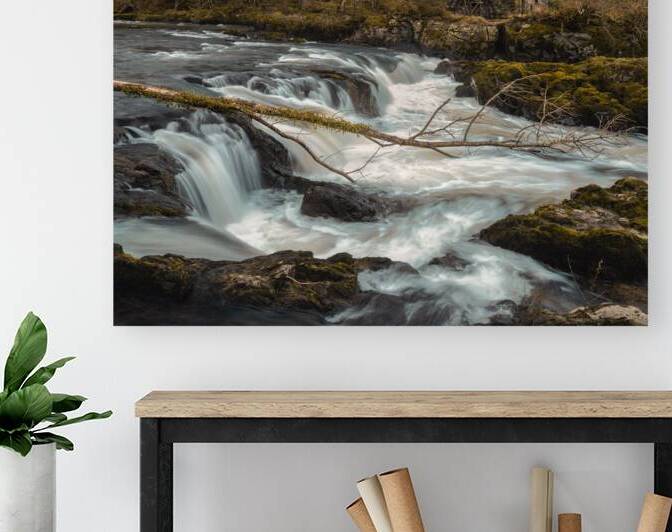 Cenarth Watermill by Dave Bowman