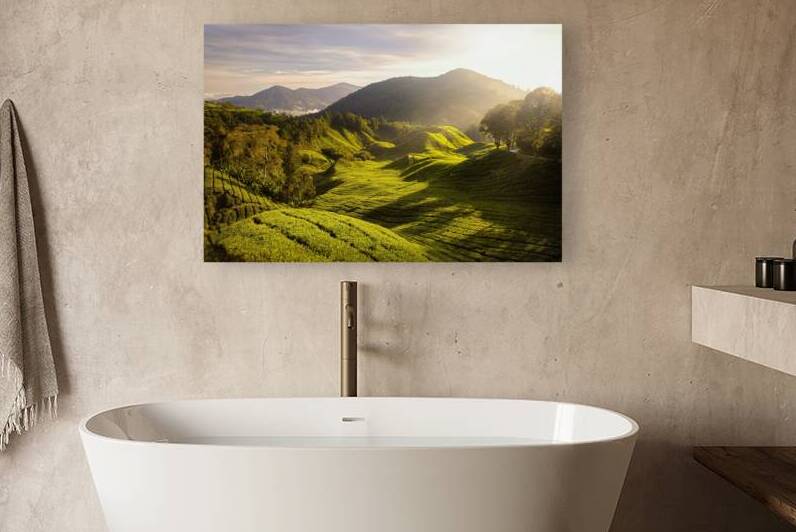 Tea Plantation Sunrise by Dave Bowman