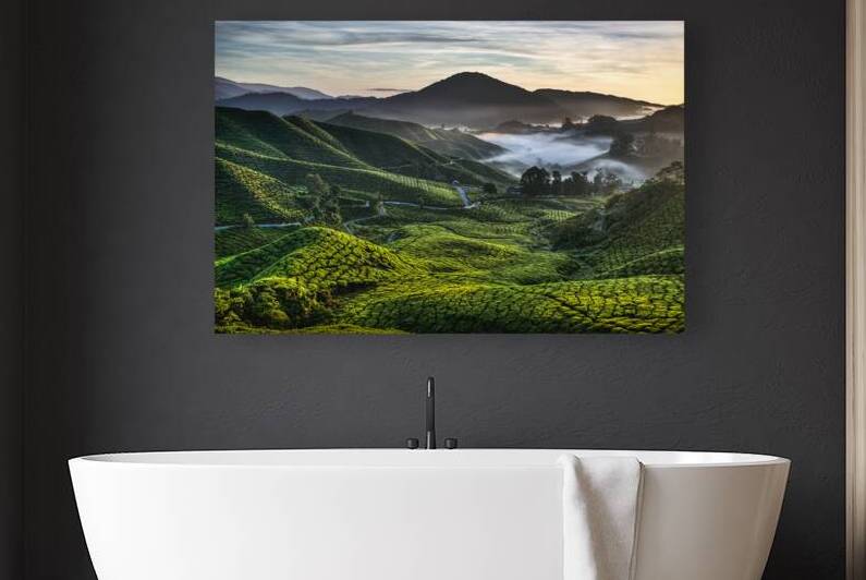 Tea Plantation at Dawn by Dave Bowman