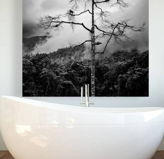 Solitary Tree by Dave Bowman