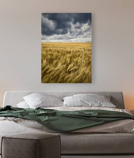 Storm Clouds Over Barley Field by Dave Bowman