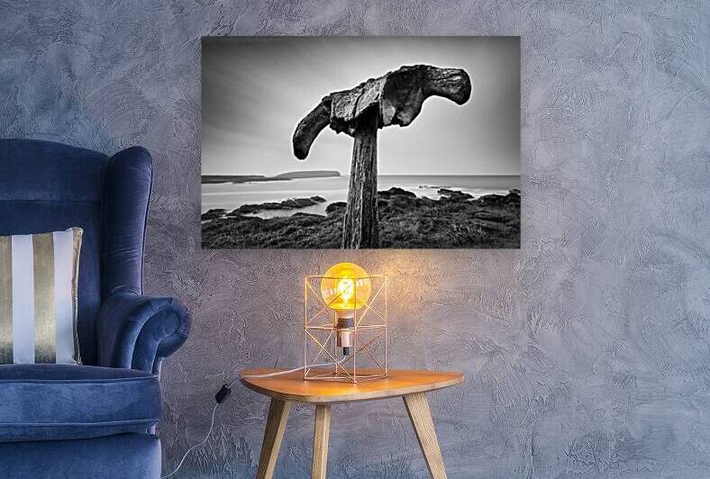 Whalebone by Dave Bowman