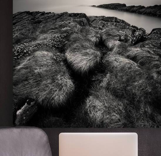 Loch Ewe by Dave Bowman