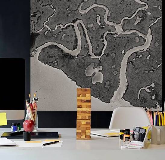 Salt Marsh Channels by Dave Bowman