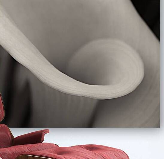 Delicate Beauty by Dave Bowman