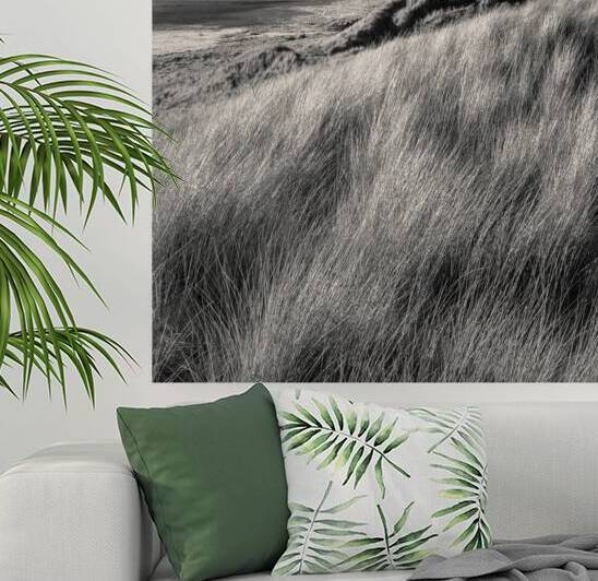 Rattray Head Dunes by Dave Bowman