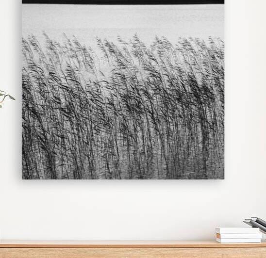 Uist Reeds by Dave Bowman