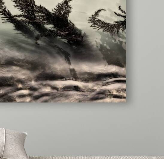 Water Fronds by Dave Bowman