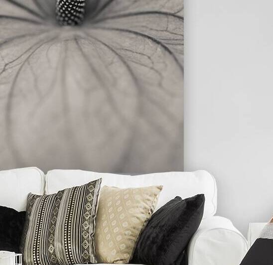 Anthurium by Dave Bowman