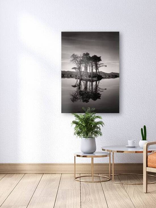 Loch Assynt Reflection II by Dave Bowman