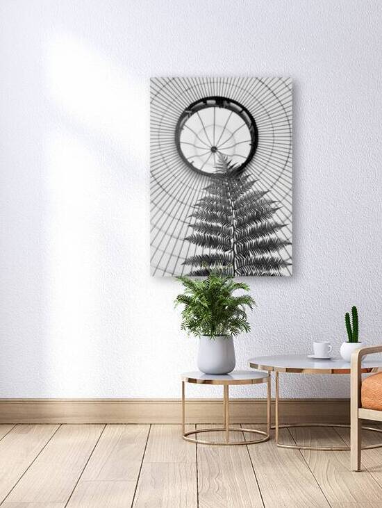 Fern and Dome by Dave Bowman