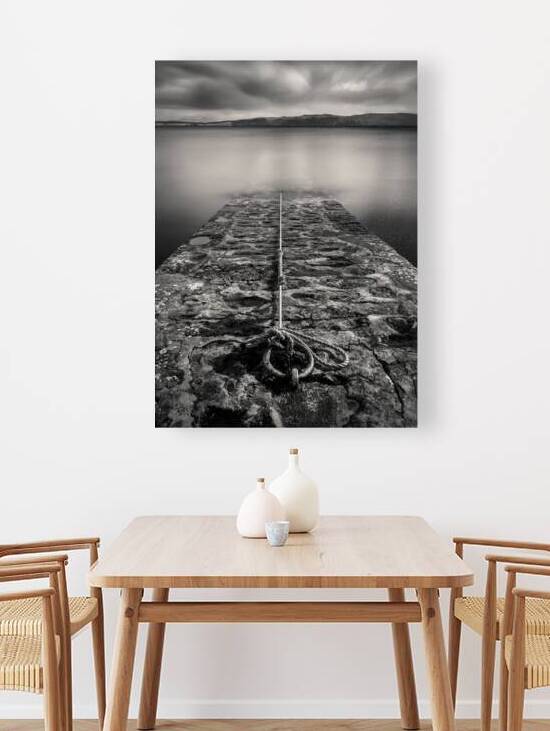 Ring and Rope by Dave Bowman