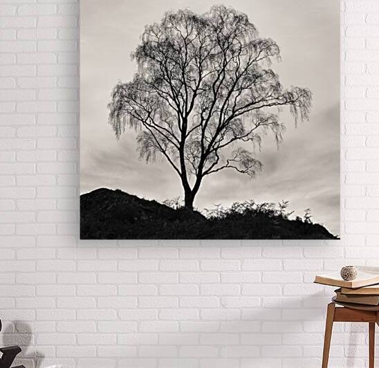 After The Leaves Have Gone by Dave Bowman