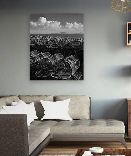 Barra Creel Nets by Dave Bowman