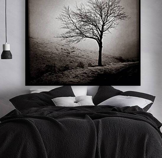 Winter Tree by Dave Bowman