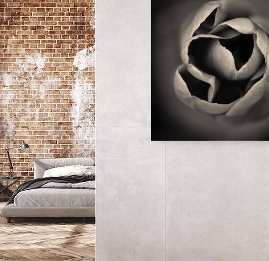 Tulip by Dave Bowman