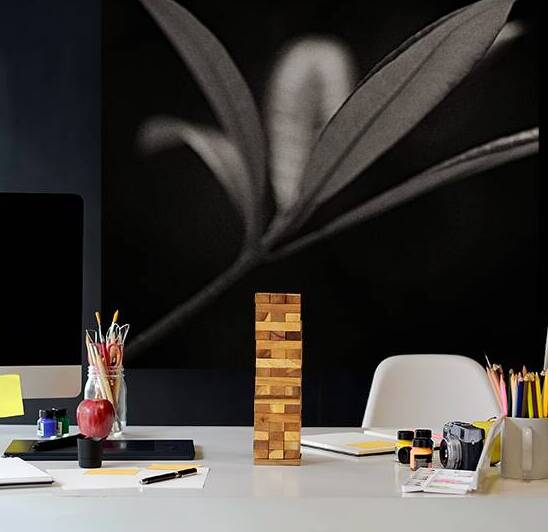 Woodland Study 6 by Dave Bowman