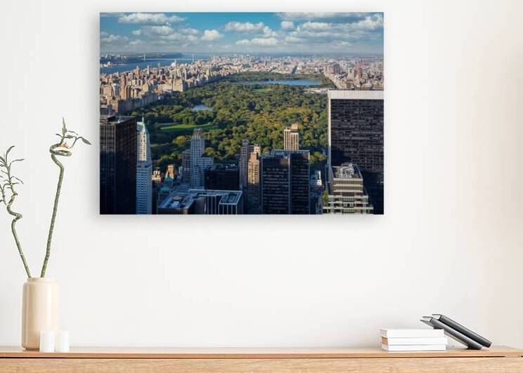 Central Park by Dave Bowman