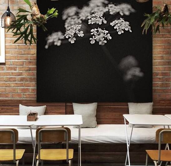 Woodland Study 2 by Dave Bowman