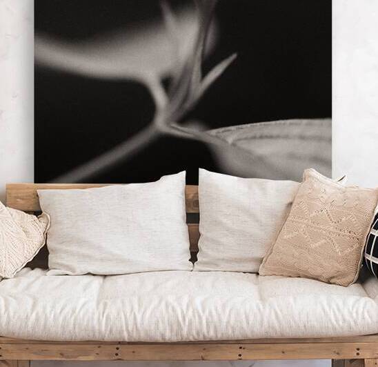 Woodland Study 4 by Dave Bowman