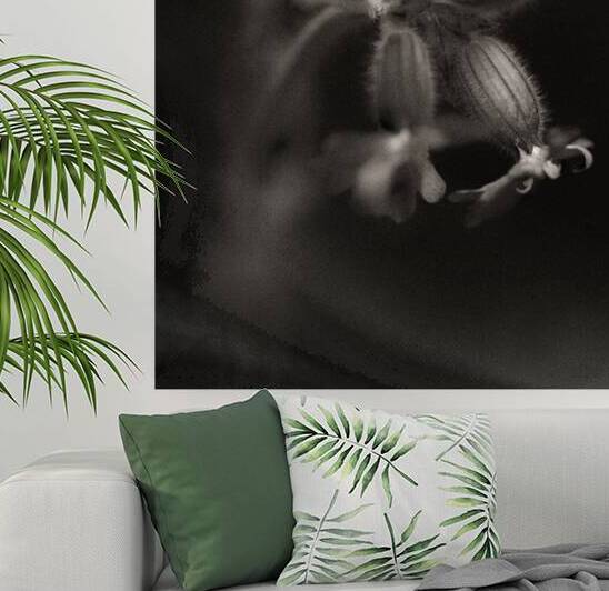 Woodland Study 9 by Dave Bowman