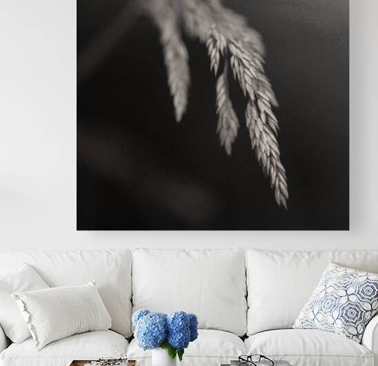 Woodland Study 7 by Dave Bowman