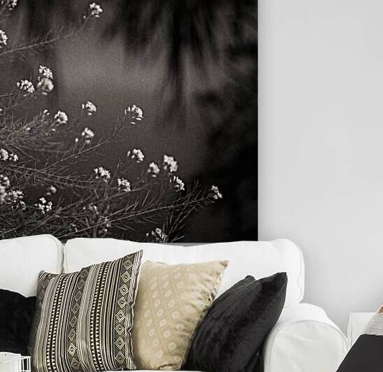 Woodland Study 12 by Dave Bowman