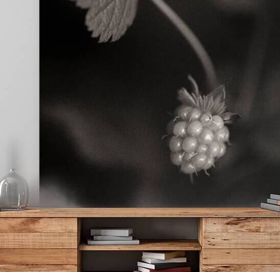 Woodland Study 10 by Dave Bowman