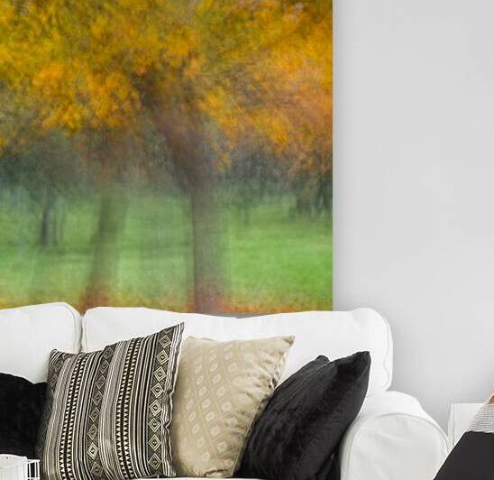 Autumn Shimmer by Dave Bowman