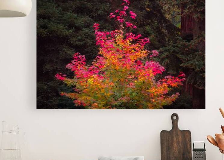 Fire Tree by Dave Bowman