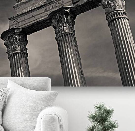 Roman Forum Pillars by Dave Bowman