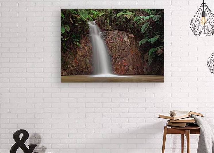 Tropical Waterfall by Dave Bowman