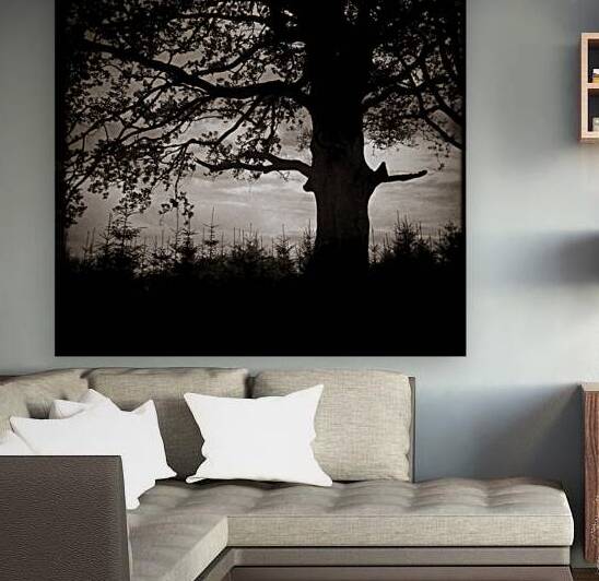 As the Day Fades by Dave Bowman