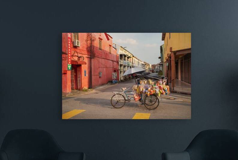 Street Vendor Bike by Dave Bowman