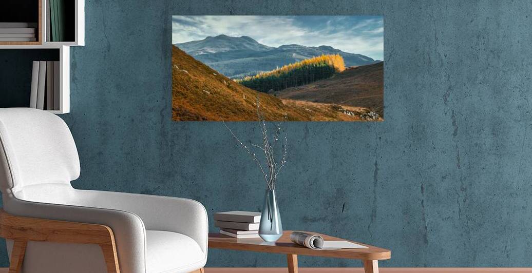 Tay Forest Edge by Dave Bowman