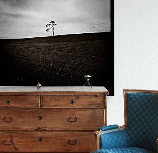 Field Tree by Dave Bowman