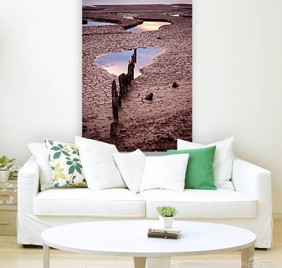 Snettisham Salt Marsh by Dave Bowman