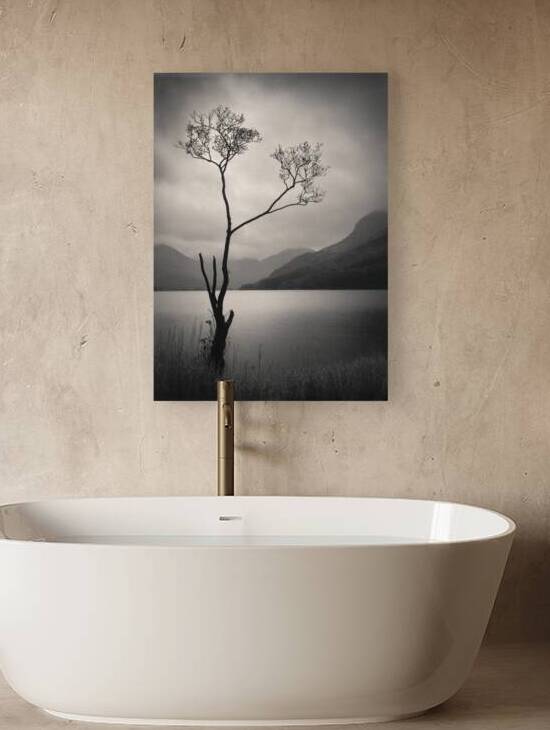 Lone Tree on Buttermere by Dave Bowman