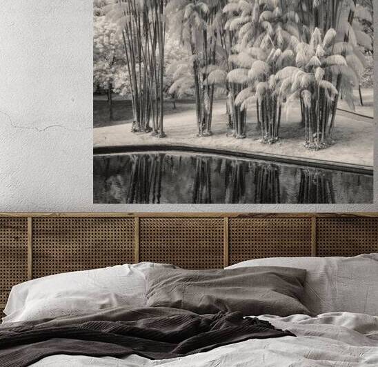 KLCC Park Bamboo by Dave Bowman