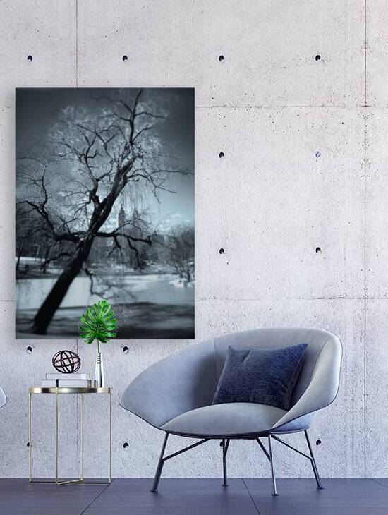 Winter in Central Park by Dave Bowman