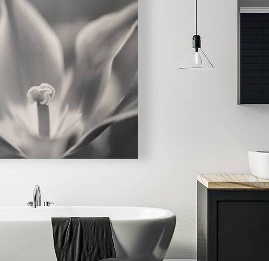 Tulip Pistil by Dave Bowman