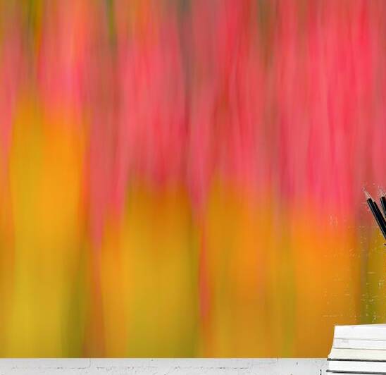 Tulips in Motion by Dave Bowman