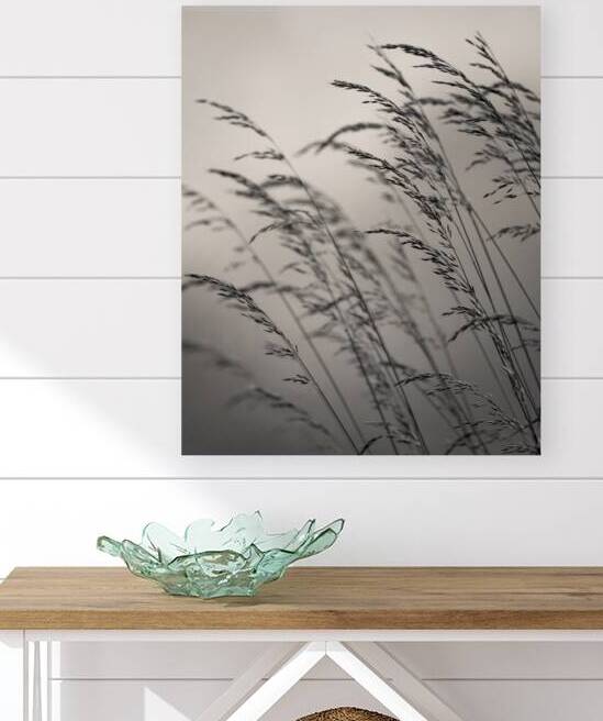 Field Grass by Dave Bowman